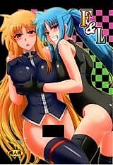 Cover image for the other called Mahou Shoujo Lyrical Nanoha dj - F & L
