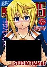 Cover image for the other called Infinite Stratos dj - Ryakushite IS