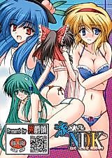 Cover image for the other called Touhou dj - Nagasarete NDK