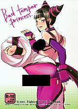 Cover image for the other called Street Fighter IV dj - Bad Temper Princess.