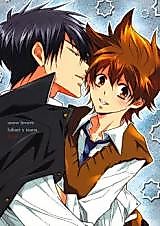 Cover image for the other called 家庭教師ヒットマンREBORN! - Snow Lovers