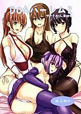 Cover image for the other called Dead or Alive Harem