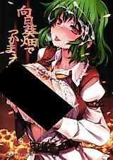 Cover image for the other called Touhou dj - Catcher in the Sunflower