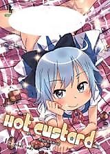 Cover image for the other called Touhou dj - Hot Custard