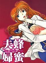 Cover image for the other called Mahou Shoujo Lyrical Nanoha dj - Hachimitsu Fuufu