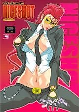 Cover image for the other called 03式NICESHOT