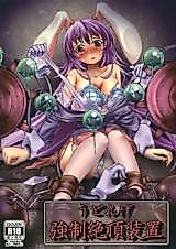 Cover image for the other called Touhou Project dj - Udonge Kyousei Zecchou Souchi
