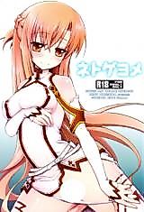 Cover image for the other called Sword Art Online dj - Netoge Yome