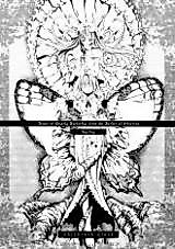 Cover image for the other called Dance of the Ghastly Butterfly