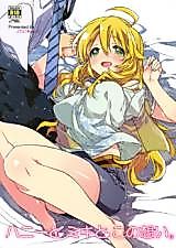 Cover image for the other called The Idolm@ster dj - Honey to Miki to Kono Omoi.
