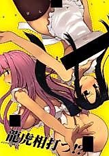Cover image for the other called Shin Koihime Musou dj - Dragon vs Tiger