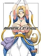 Cover image for the other called Dragon Quest V dj - Mireille Side