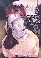 Cover image for the other called Touhou Project dj - Kasen-chan Jugyou Desu yo