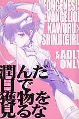 Cover image for the other called Shin Seiki Evangelion dj - Urunda Me de Emono o Miru na