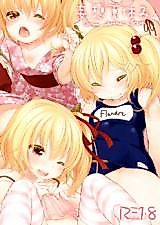 Cover image for the other called Mousou Natsuyasumi (Touhou Project)