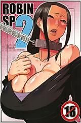 Cover image for the other called ROBIN SP