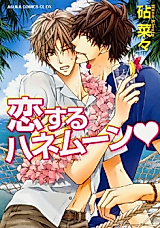 Cover image for the manga called Fall in love on a honeymoon