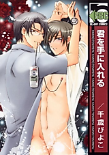 Cover image for the manga called Kimi o Te ni Ireru