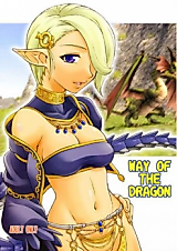 Cover image for the other called Final Fantasy XI dj - Way of the Dragon