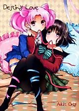 Cover image for the other called Sailor Moon dj - Destiny Love