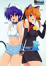 Cover image for the other called Mahou Shoujo Lyrical Nanoha dj - Ai no Aibou Kokoro no Cupid