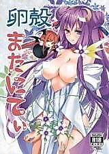 Cover image for the other called Touhou dj - Rankaku Maternity