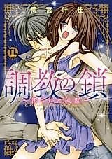 Cover image for the manga called Choukyou no Kusari - Kegasareta Junketsu