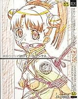 Cover image for the other called Hayashibara Hikari Parody Artworks