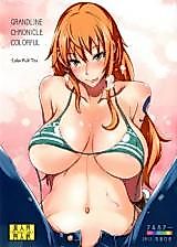 Cover image for the other called GRANDLINE CHRONICLE COLORFUL 彩乳