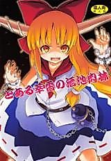 Cover image for the other called Touhou Project dj - Toaru Suika no Shuchi Nikurin