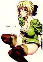 Cover image for the other called Soul Calibur dj - Fallen Angels