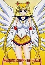 Cover image for the other called Sailor Moon dj - Burning Down The House