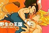 Cover image for the other called Dragon Ball Z dj - Wild Kingdom