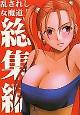 Cover image for the other called Dragon Quest VIII dj - Distressed Female Wizard Collection