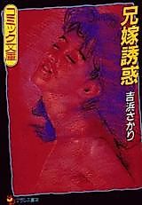 Cover image for the manga called Aniyome Yuuwaku