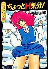 Cover image for the manga called Chotto H Kibun!