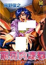 Cover image for the manga called Katenai Ryoujoku