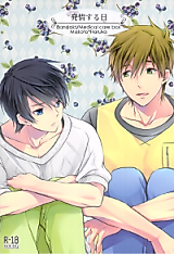 Cover image for the other called Free! - The Day I Go Into Heat (Doujinshi)