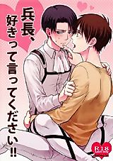 Cover image for the other called Shingeki no Kyojin dj - Heichou, Suki tte Ittekudasai!!