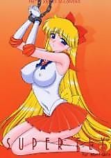 Cover image for the other called Sailor Moon dj - Super Fly