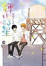Cover image for the manga called Kagayakeru Hoshi