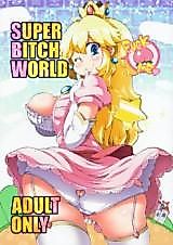 Cover image for the other called Super Mario dj - Super Bitch World