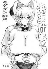 Cover image for the other called 2011 8月 おまけ本