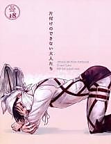 Cover image for the other called Shingeki no Kyojin dj - Katazuke no Dekinai Otona-tachi
