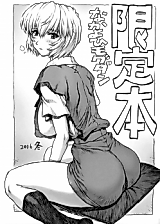 Cover image for the other called Neon Genesis Evangelion dj - Limited Edition Winter 2006