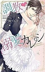 Cover image for the manga called Choukyou Dekiai Kareshi