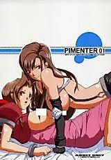 Cover image for the other called Final Fantasy VII dj - Pimenter