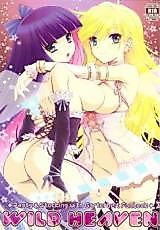 Cover image for the other called Panty & Stocking with Garterbelt dj - Wild Heaven