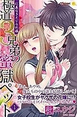 Cover image for the manga called Gokudou 3 Kyoudai no Mitsugoku Pet - Jingi Naki Ijirare Yome