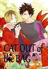 Cover image for the other called Haikyu!! dj - Cat Out of the Bag